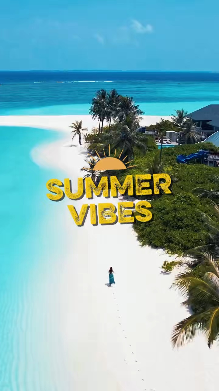 Summer Vibes Recap