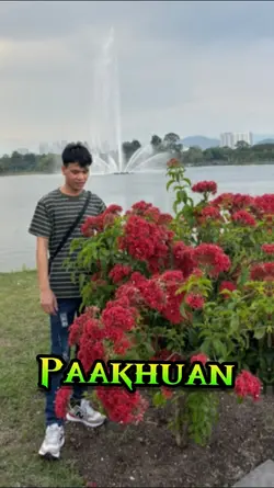 Lungtang paakhuan