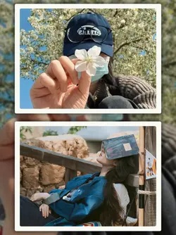 8Pic Frame Aesthetic