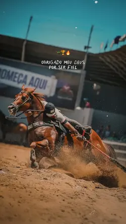 Eu e meu cavalo