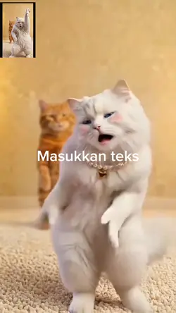 meong joget