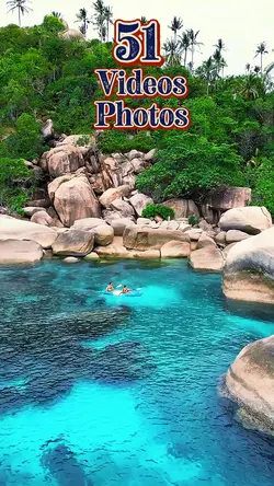 51 new template 2025