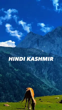 travel kashmir