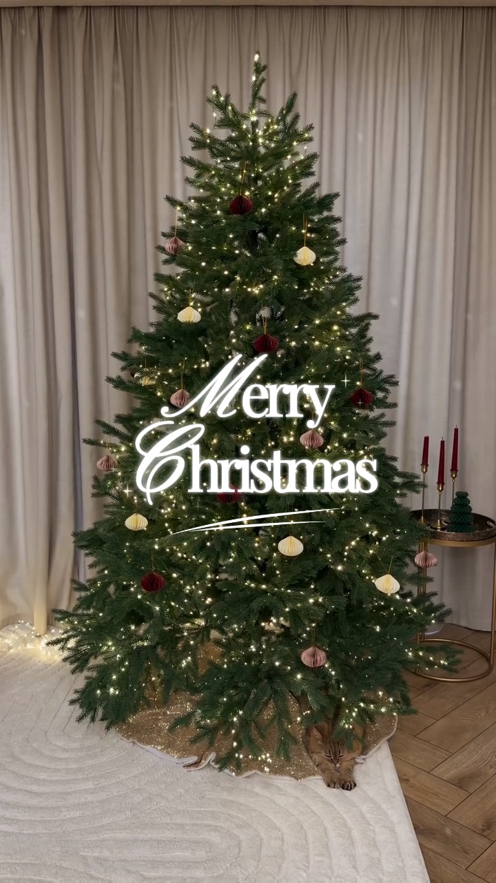 Feliz Navidad 