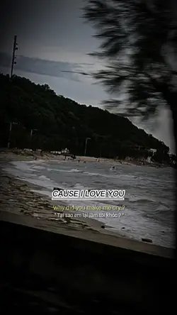 [2] Cause I Love You