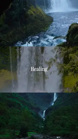 grid video