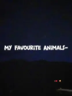 Fav Animals
