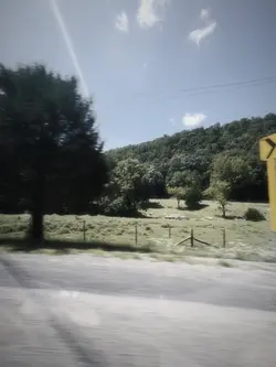 i love this audio sm