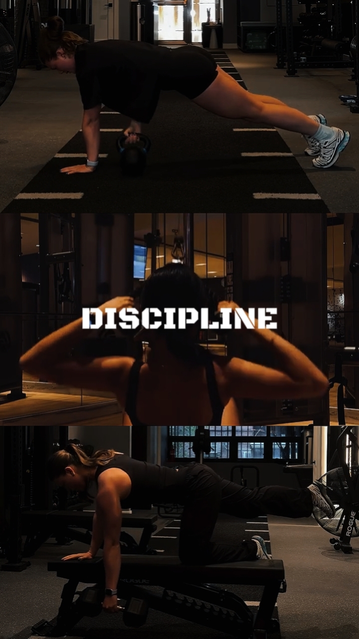 Disciplina 