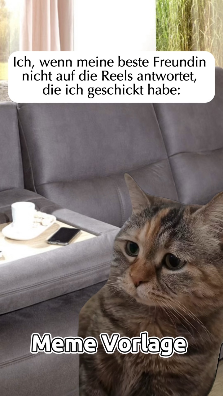 Bestie CAT meme 