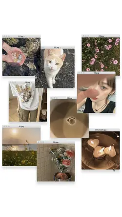 9 pics/videos