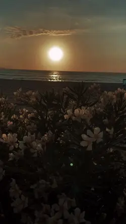 Turnalara küstüm yar