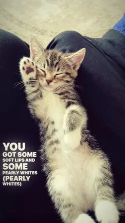 melting