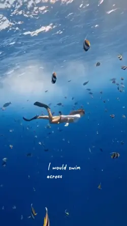 I would swim bruno