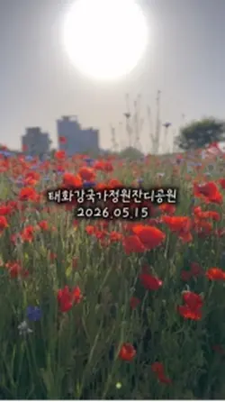 배경