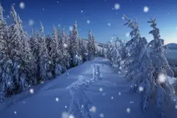 winter in all its gl