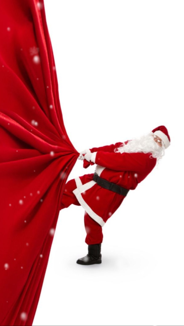 Venta De Navidad