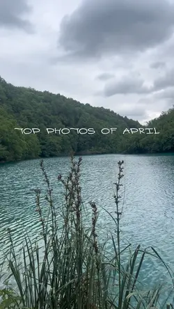 April 2026 dump