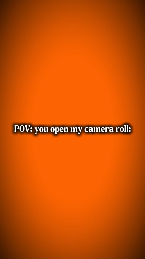 Rolo da câmera 