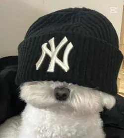 사용하면 음원이 바꿔져요!