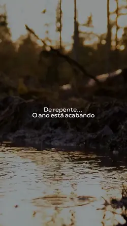 O ANO está acabando