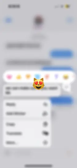 Texts from him...