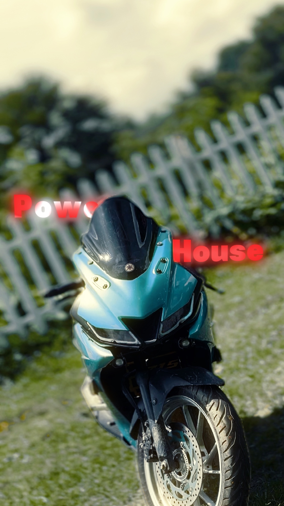 Cover Picture