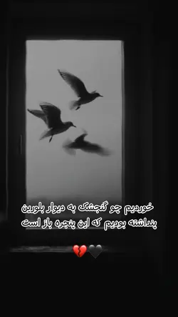 💔💯