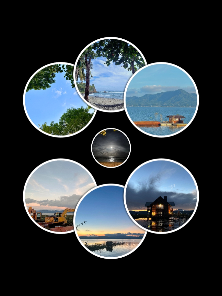 7Pic Trend Aesthetic