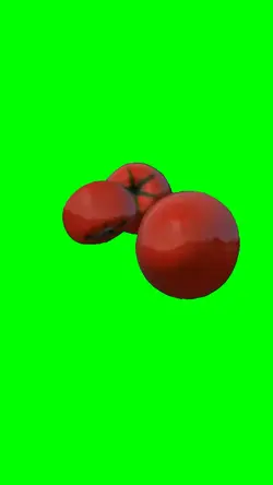 THREE TOMATO THROW