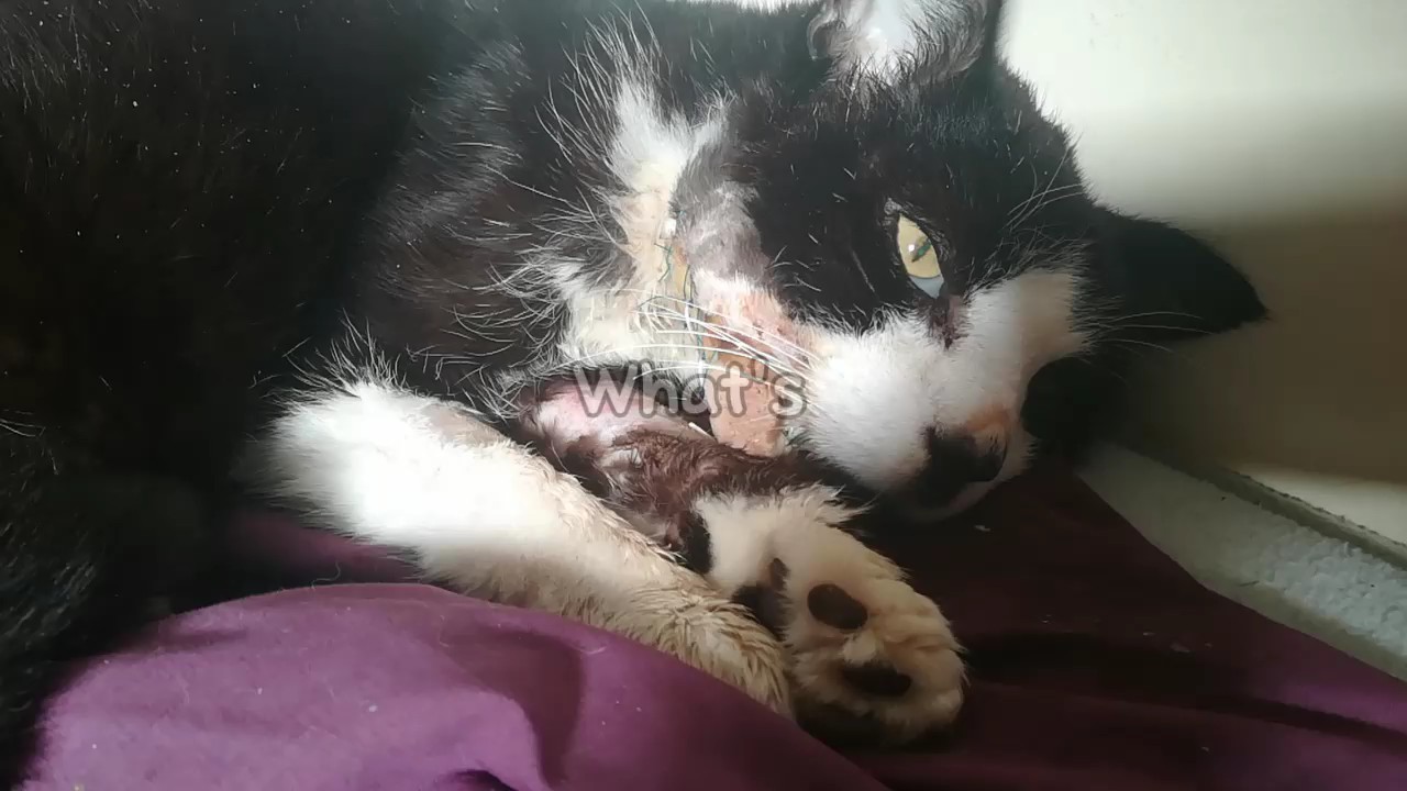 what's gonna be left