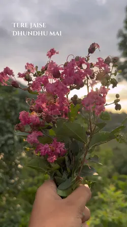 Teri jaise dhundu me