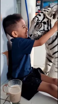 Trend Ai Macan