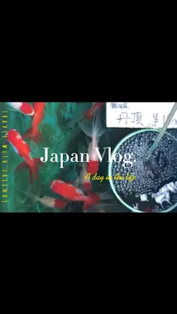 Japan Cinematic Vlog