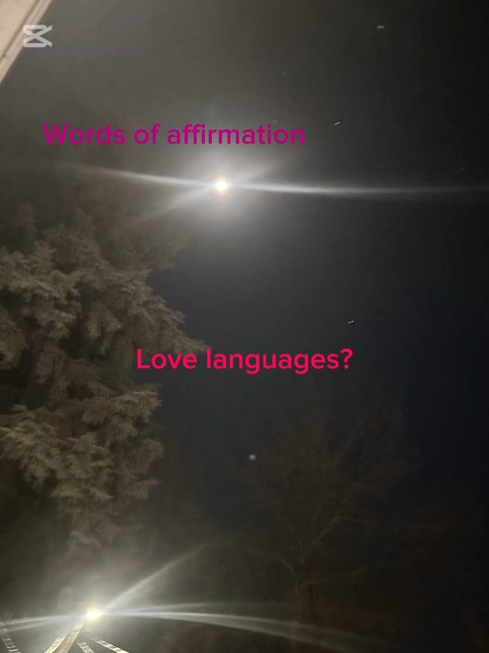 Aşk dilleri