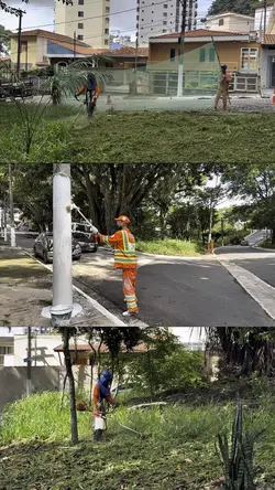OPERAรรO SP LIMPA