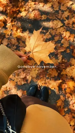 Goodbye November