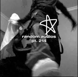 random audio pt. 214