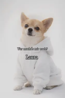 Cutedog