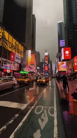 Cityvibes transition