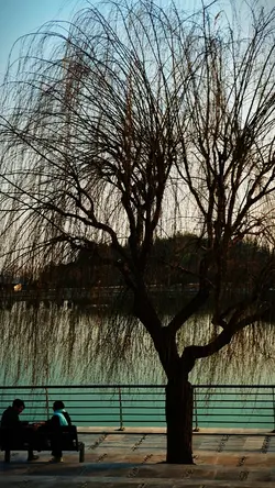 Shuttered camera