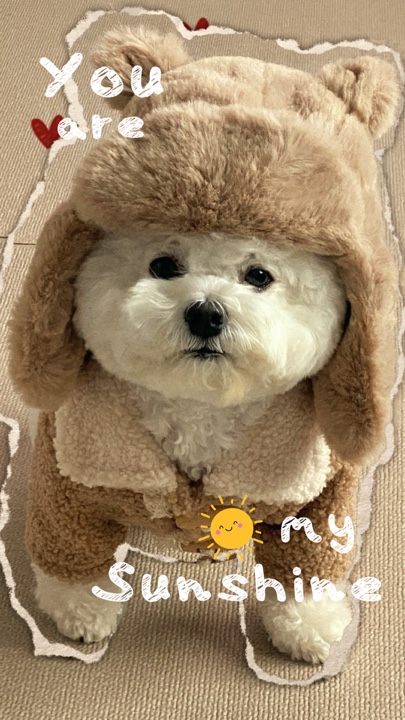YOUR PET
