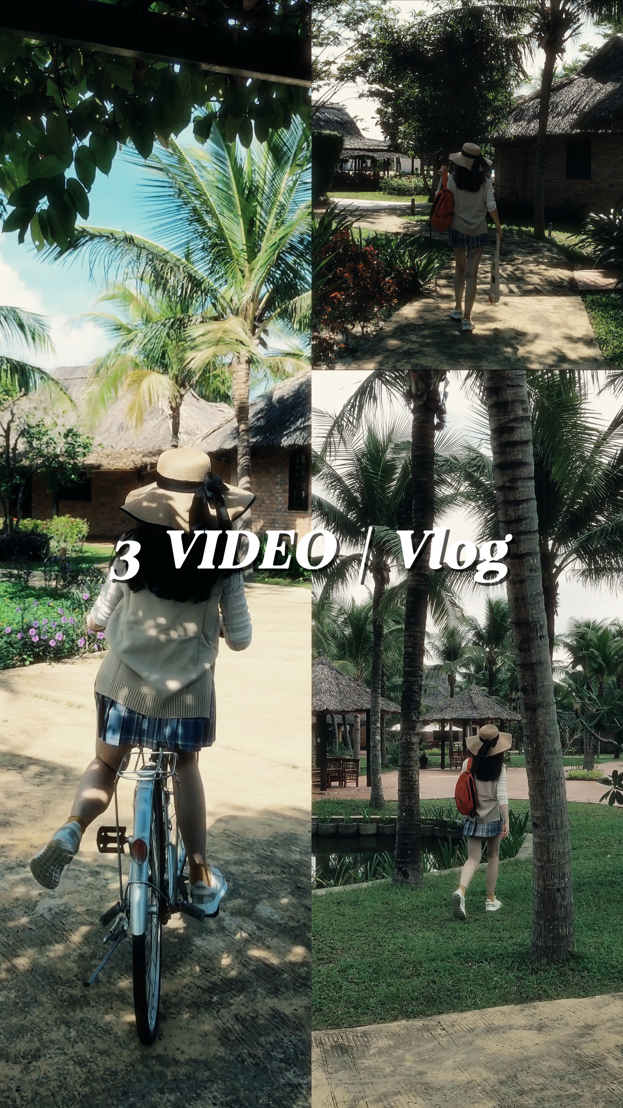 3 VÍDEOS | VLOG