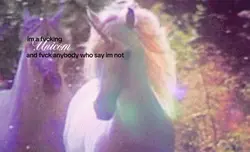 im a unicorn