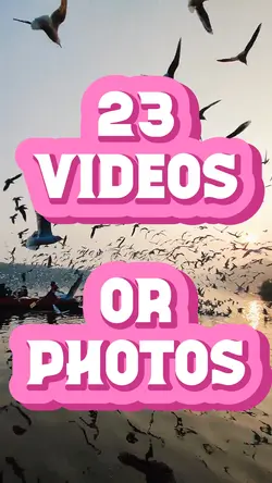 23 Videos Or Photos 