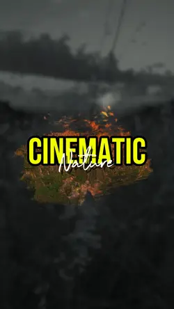 CINEMATIC NATURE