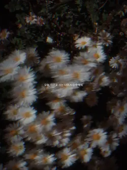 오늘,지금을 사는 너에게 집중해줘