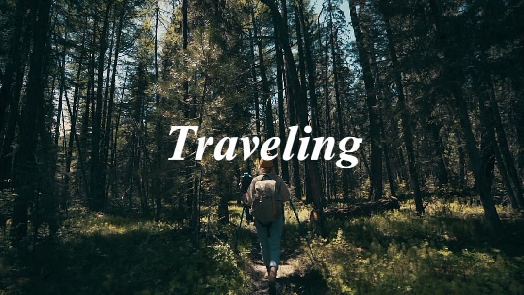 Viajando 