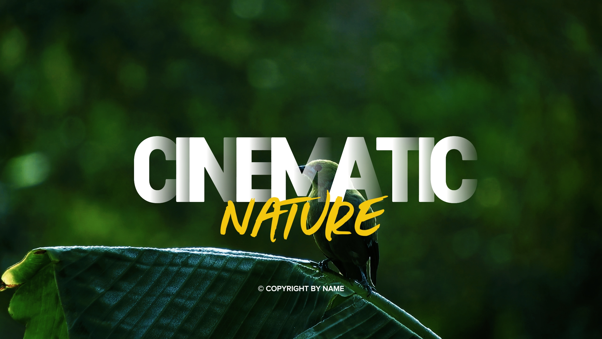 NATUREZA CINEMÁTICA