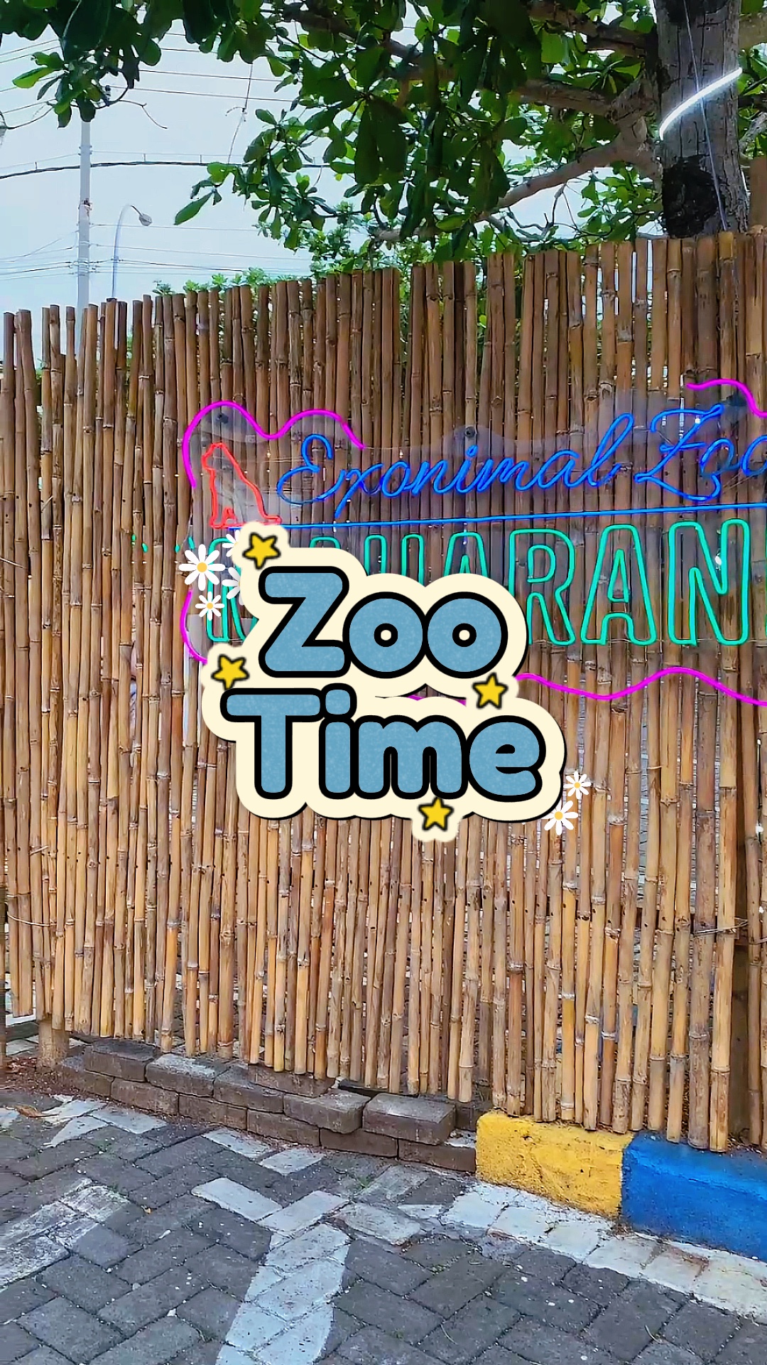 Zoo Time